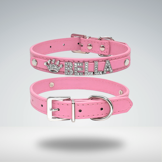 Cat Customized Collar
