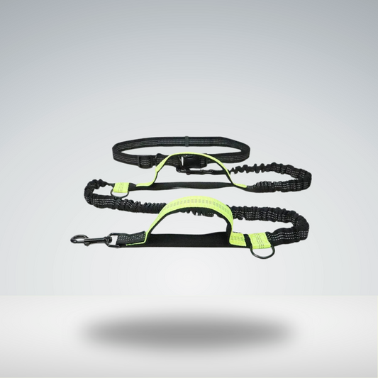 Dog Running Confortable Leashes