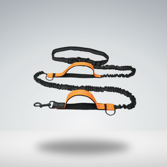Dog Running Confortable Leashes