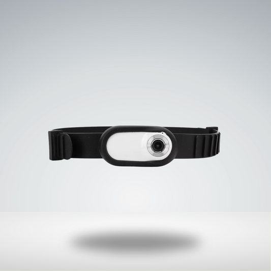 Pet POV Collar
